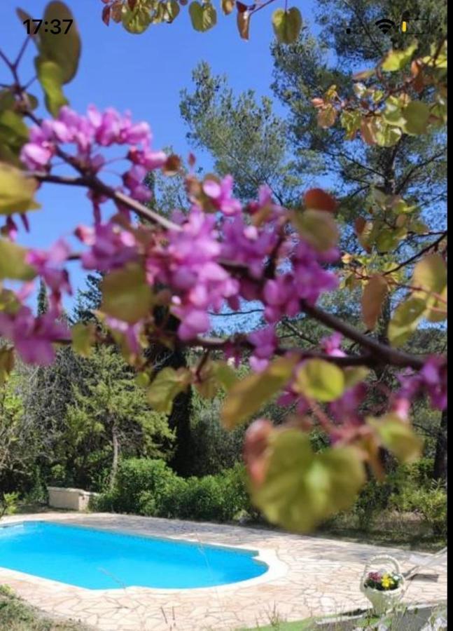 Charmant deux-pièces dans villa avec piscine privée Seillans Exterior foto